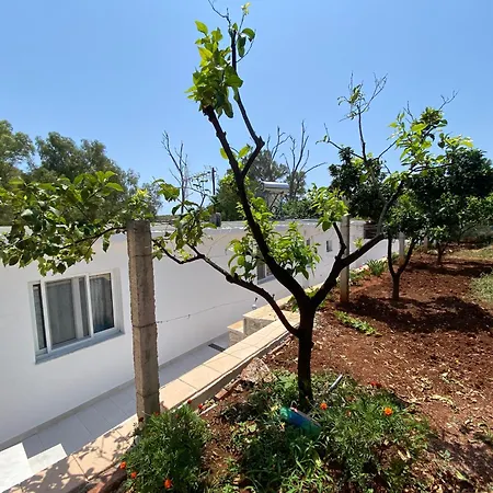 Loft דירה