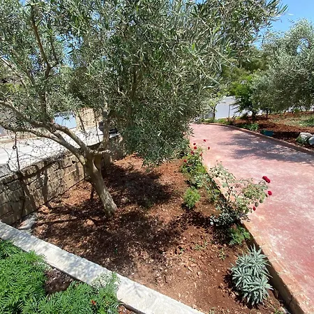 Loft דירה *